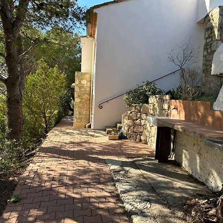 Appartement Grand T2 Bis Avec Terrasse Et Vue à Portel-des-Corbieres Extérieur photo